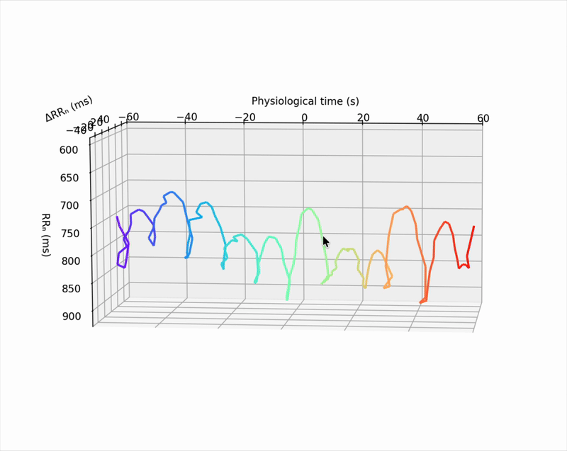 Animated phase-space trajectory of heart rate variability